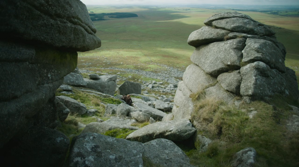 [Image: 2tpjn66yzq3o.png]