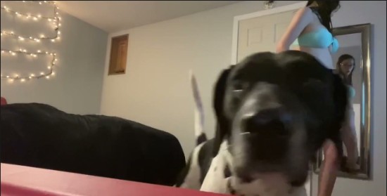 [Image: Voyeur13755150549.jpg]