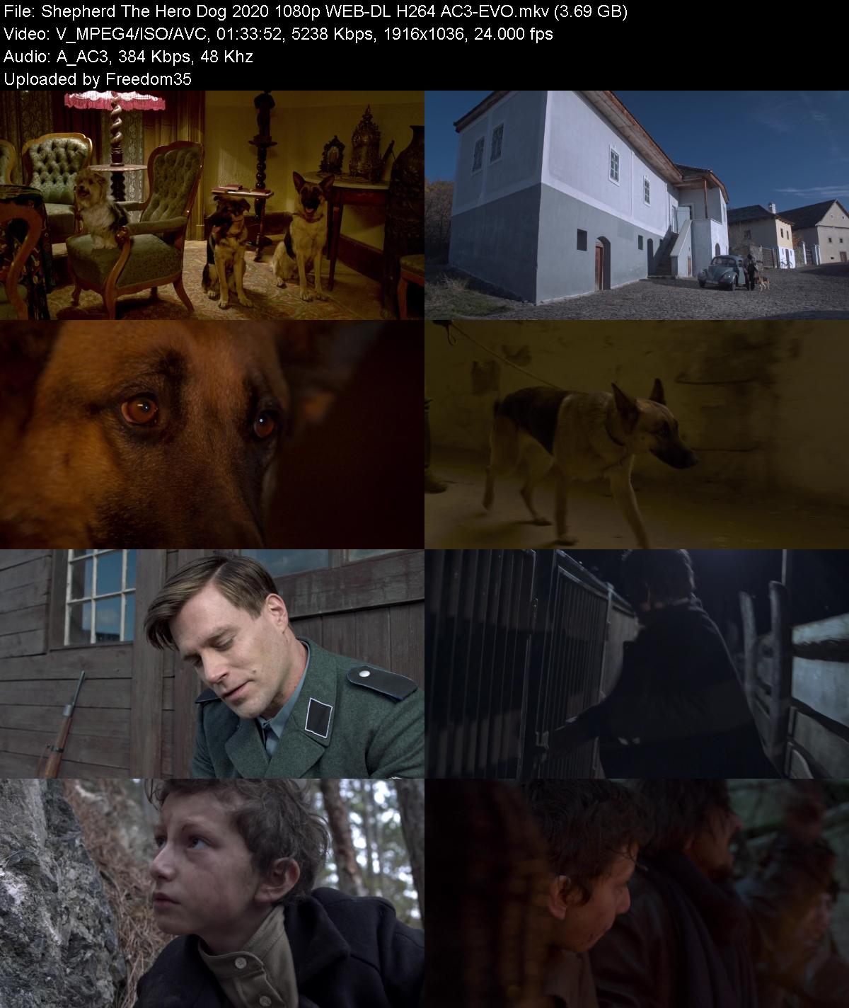 Shepherd-The-Hero-Dog-2020-1080p-WEB-DL-