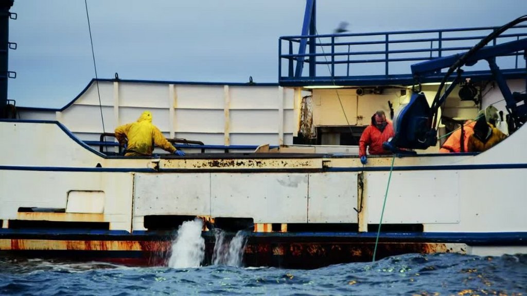 [Image: t2xw6dle0zt3.jpg]