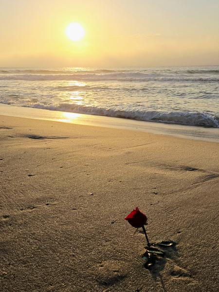 В джазе только девушки или аргентинско-бразильский калейдоскоп В джазе только девушки или аргентинско-бразильский калейдоскоп