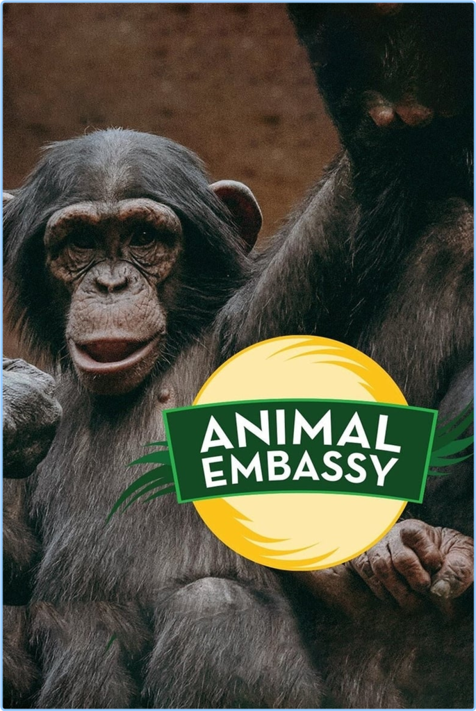 [Image: patu4l4ydf29.png]