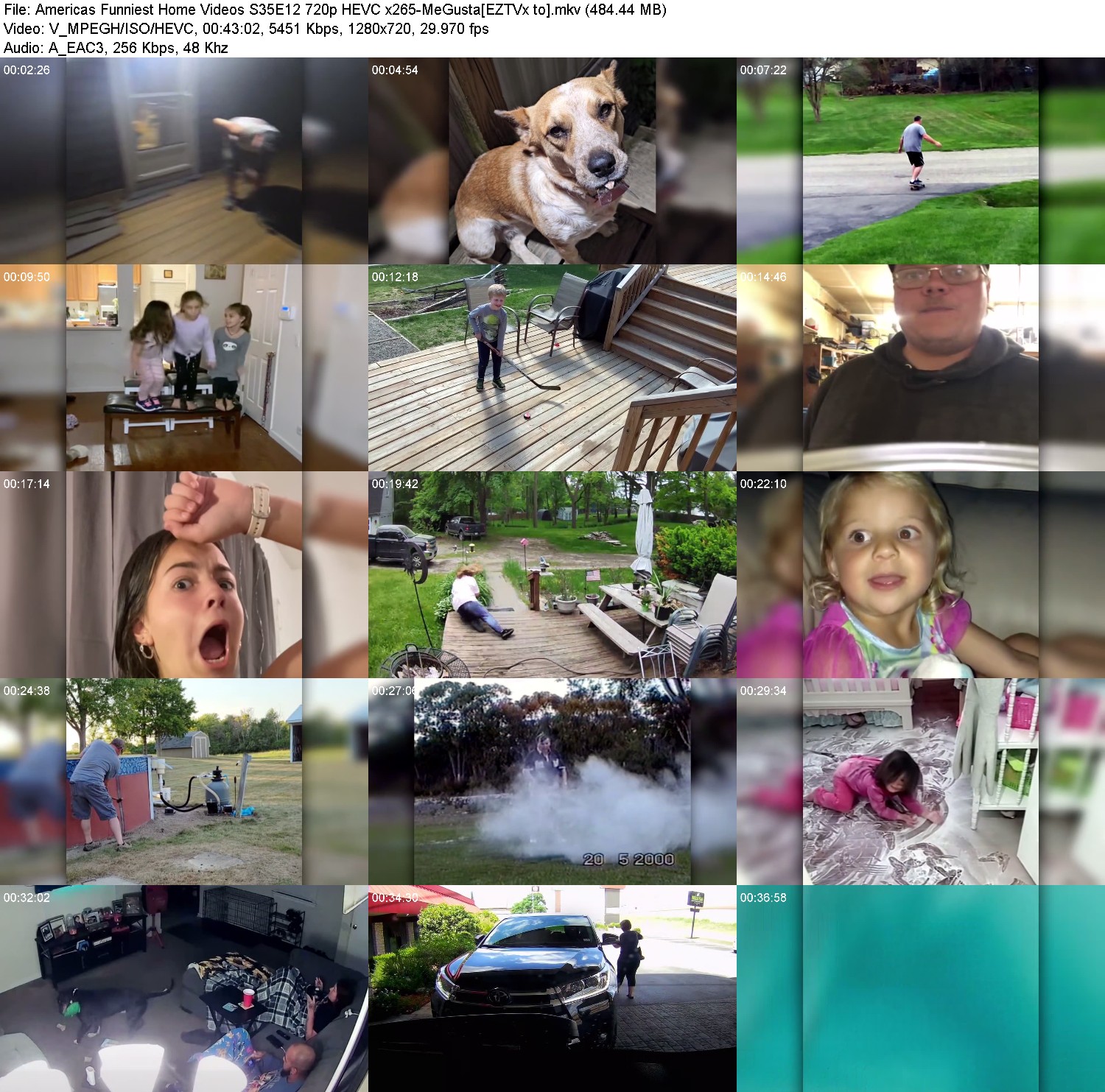 [Image: t4j7zwuyr11z.jpg]