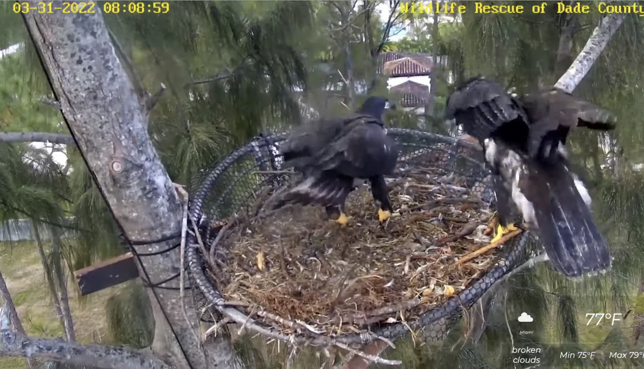 E27B9191-6F89-4EAC-88AD-A1ECFD533CA5