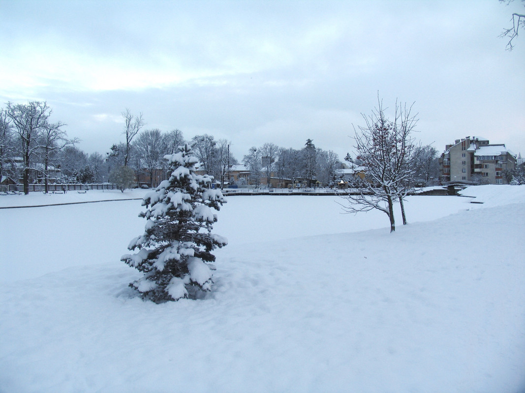 Ноябрь2023 089а