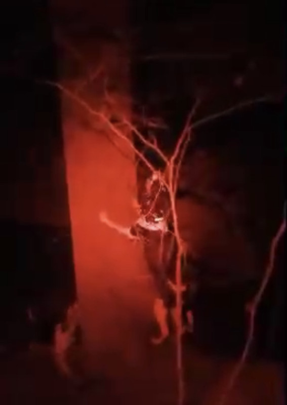 5CF855FC-F654-4546-B540-AC4505F48BC6