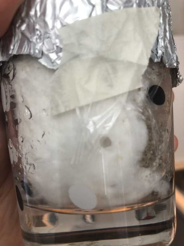 412CE0B2-D135-490E-857B-B8FB7442487E