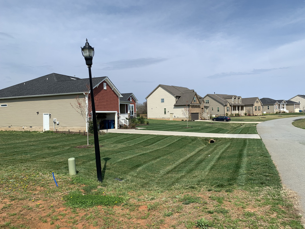 Correcting Fertilizer Stripes Lawn Care Forum