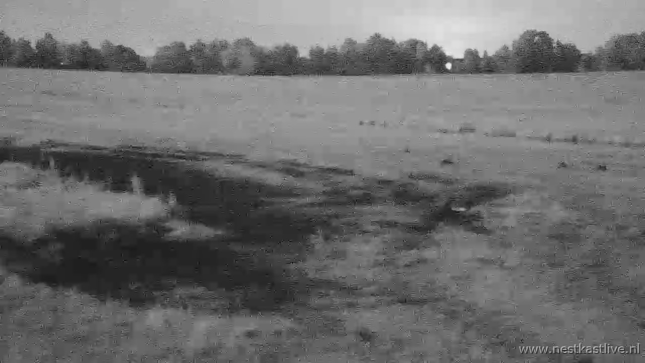 snapshot 2026 06 20T001205 502