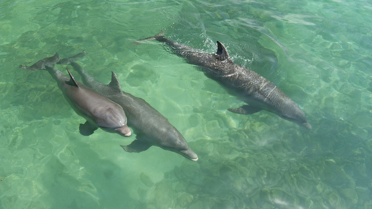 [Obrazek: image.png]