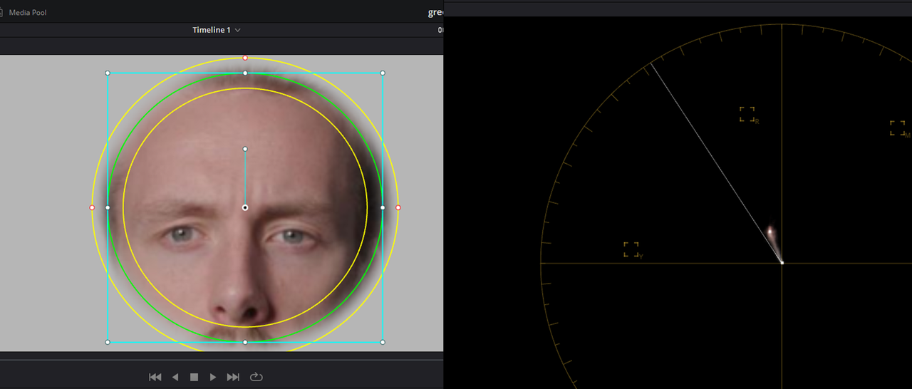alexa-mini-LF.png