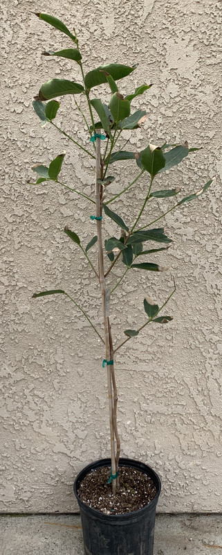 D834829D-9B6C-4EAA-8A3E-7B9EBC0B2176