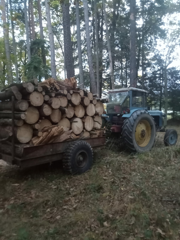 IMG_20251017_180315_235