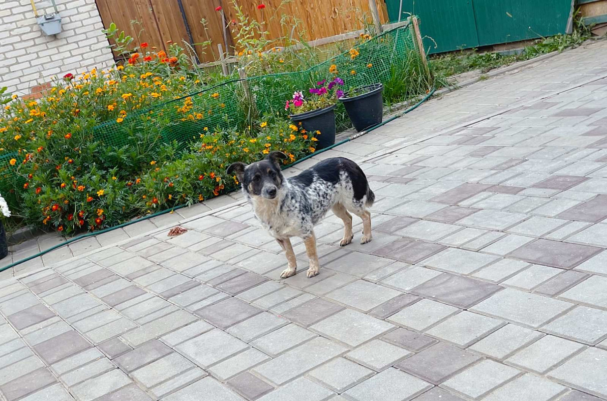 B8A13CA9-D862-4204-8D1D-BBB58F3BFE78