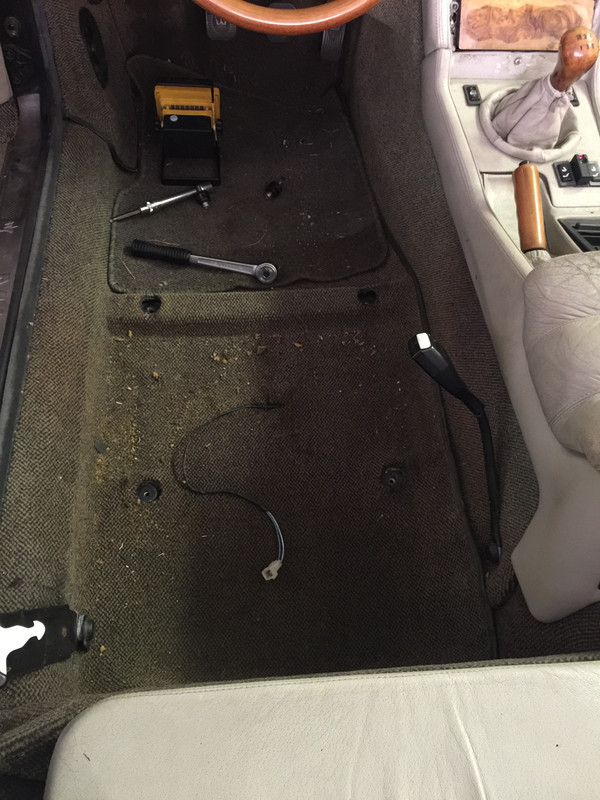 9575DE0E-969D-40FF-8E49-1C58A81658CB