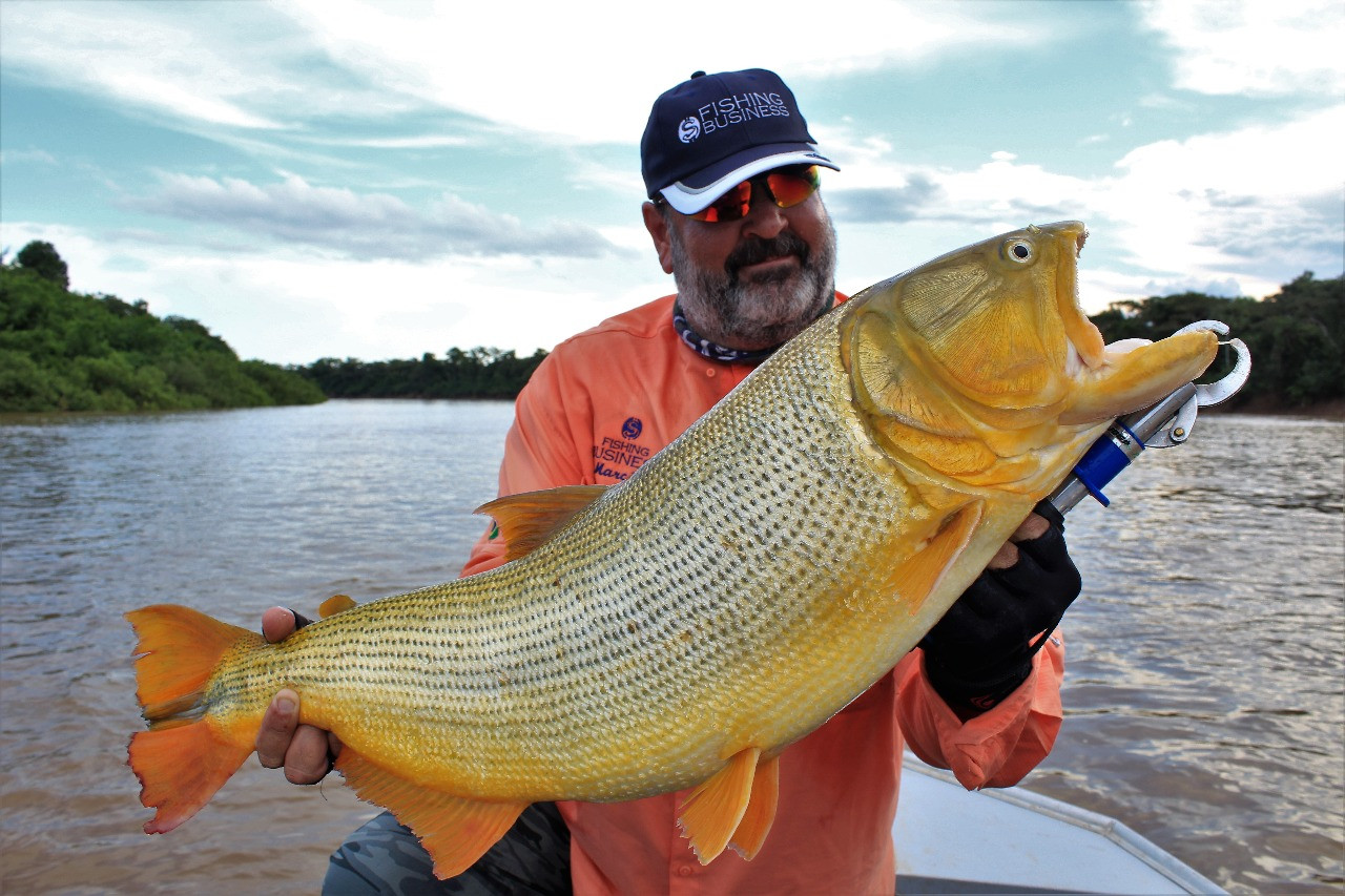 Fishing Business - Equipe