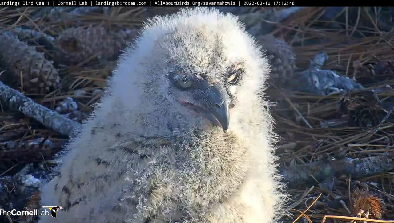 WhatsApp Image 2022-03-13 at 9.19.28 AM (2)