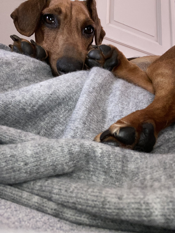 [Image: 2-E6706-B7-3-C52-4-DD0-B54-B-823-EC1-C1988-E.jpg]