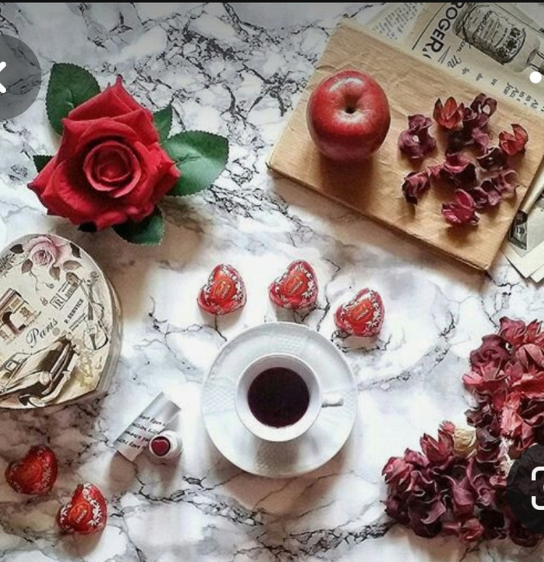 Screenshot_20230227_235042_Pinterest