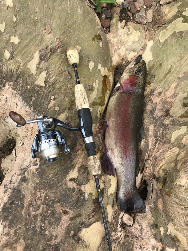 0AD9CB36-67B6-408A-AEBA-5116EF39DD92