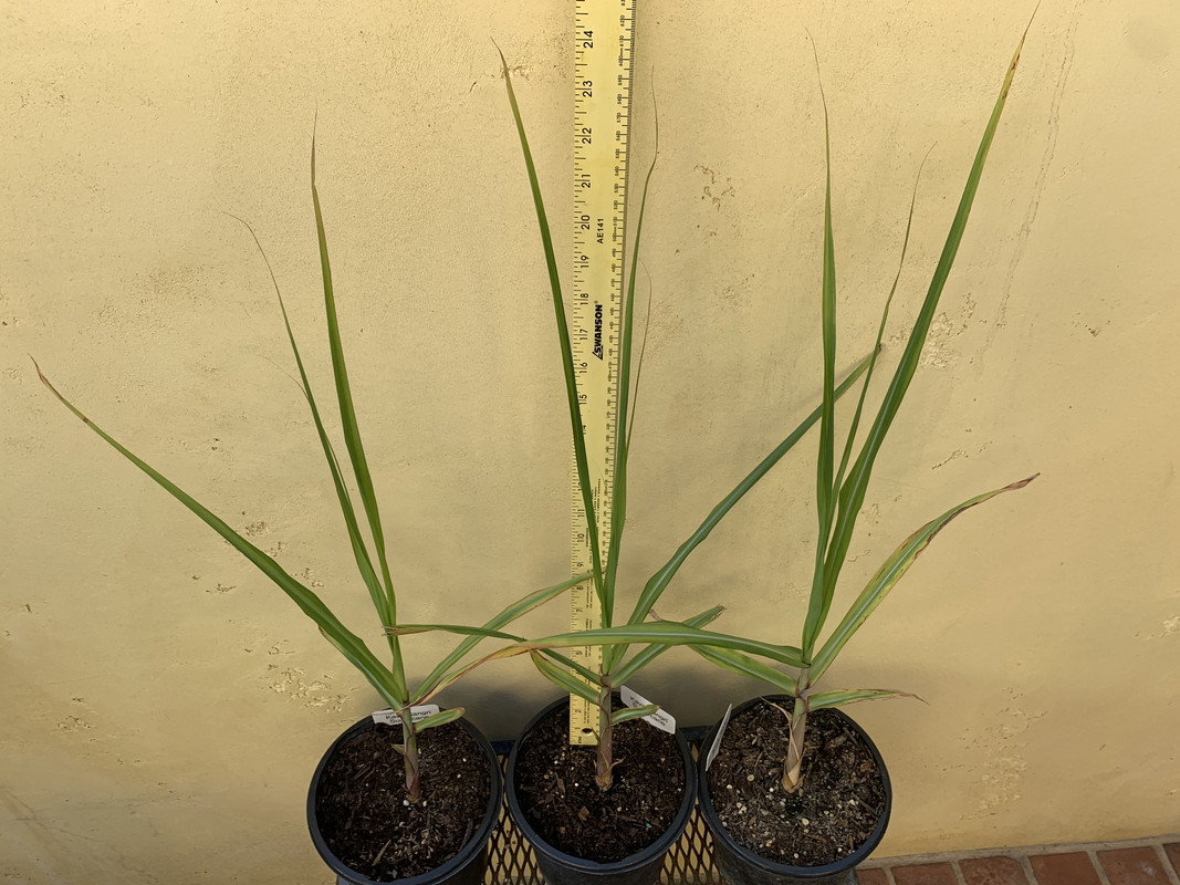 2D1DD64B-1306-4FBA-B23B-FE5A29BE4BF6