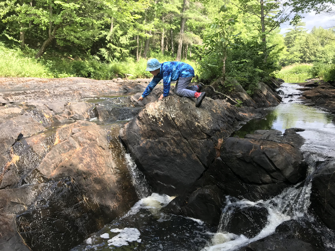 7E6D10B3-AAB6-4BE5-80EA-51ECD1B27BCB