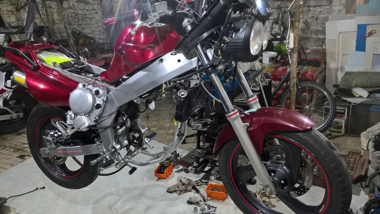 WP_20190826_23_26_29_Pro (Copier)