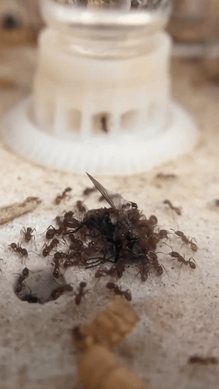 D3BDD4D7-3271-41EE-B1E3-858CCABEDBC8