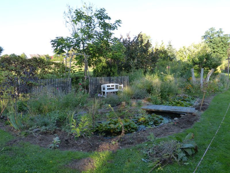 2014-08-27 Präriebeet