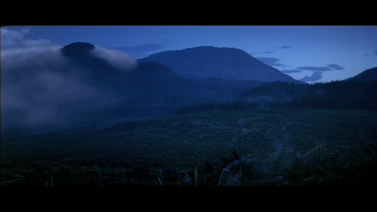 vlcsnap-2022-11-28-00h01m20s737