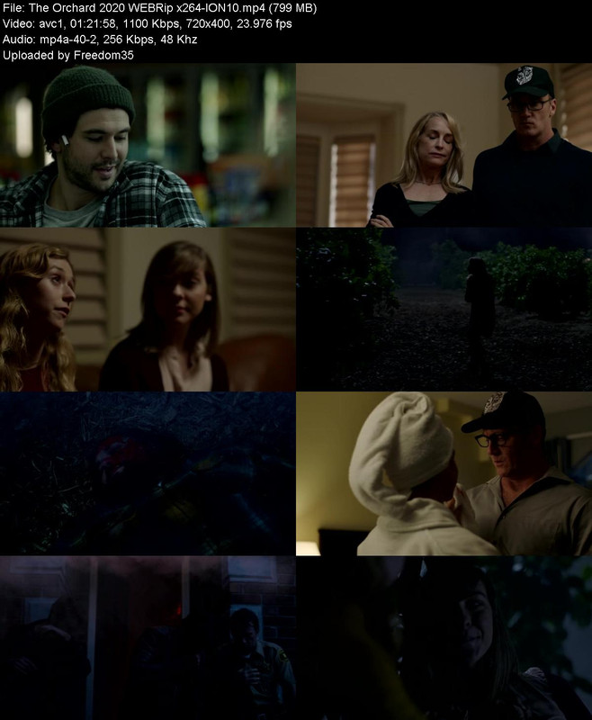 The-Orchard-2020-WEBRip-x264-ION10.jpg