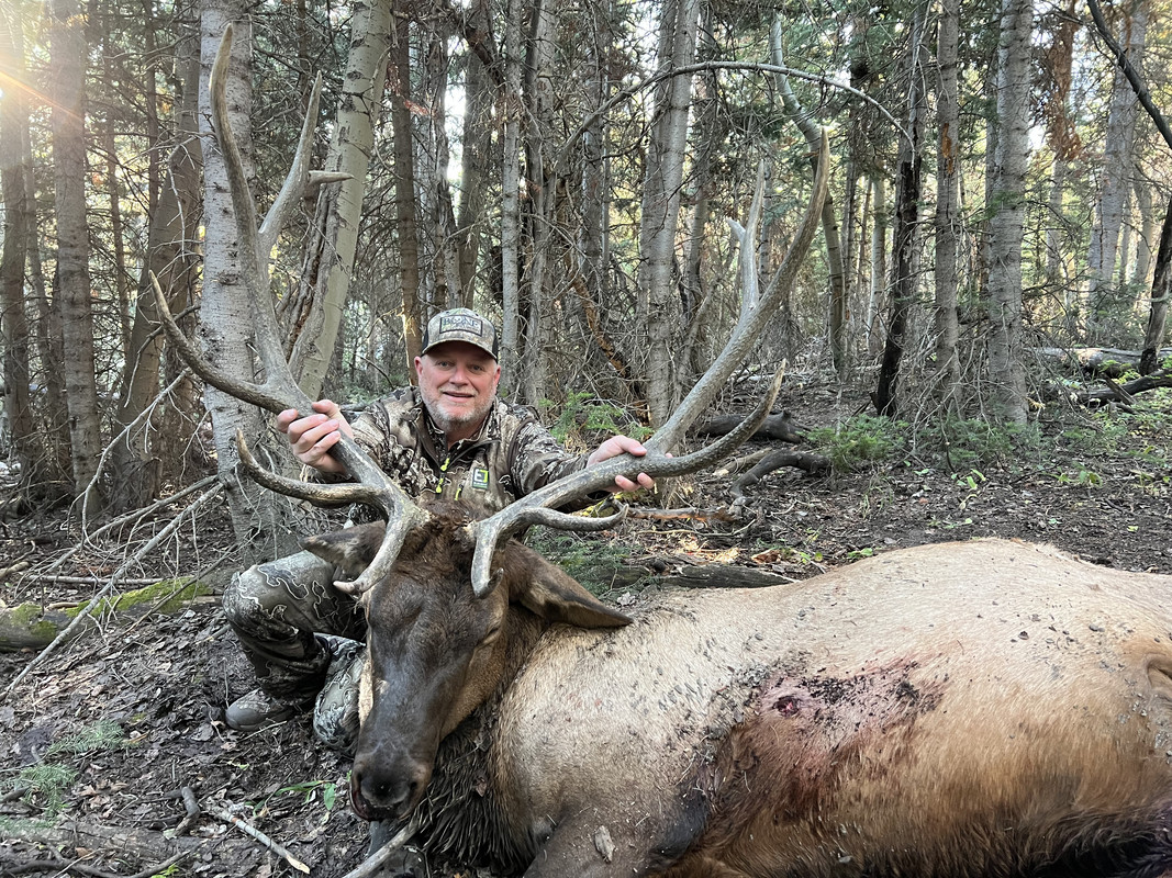 97C56107-3C59-4D8D-8C8B-701AA5040AE3