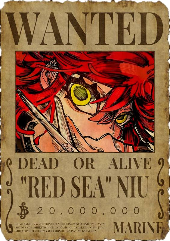 wanted poster red sea niu (3)