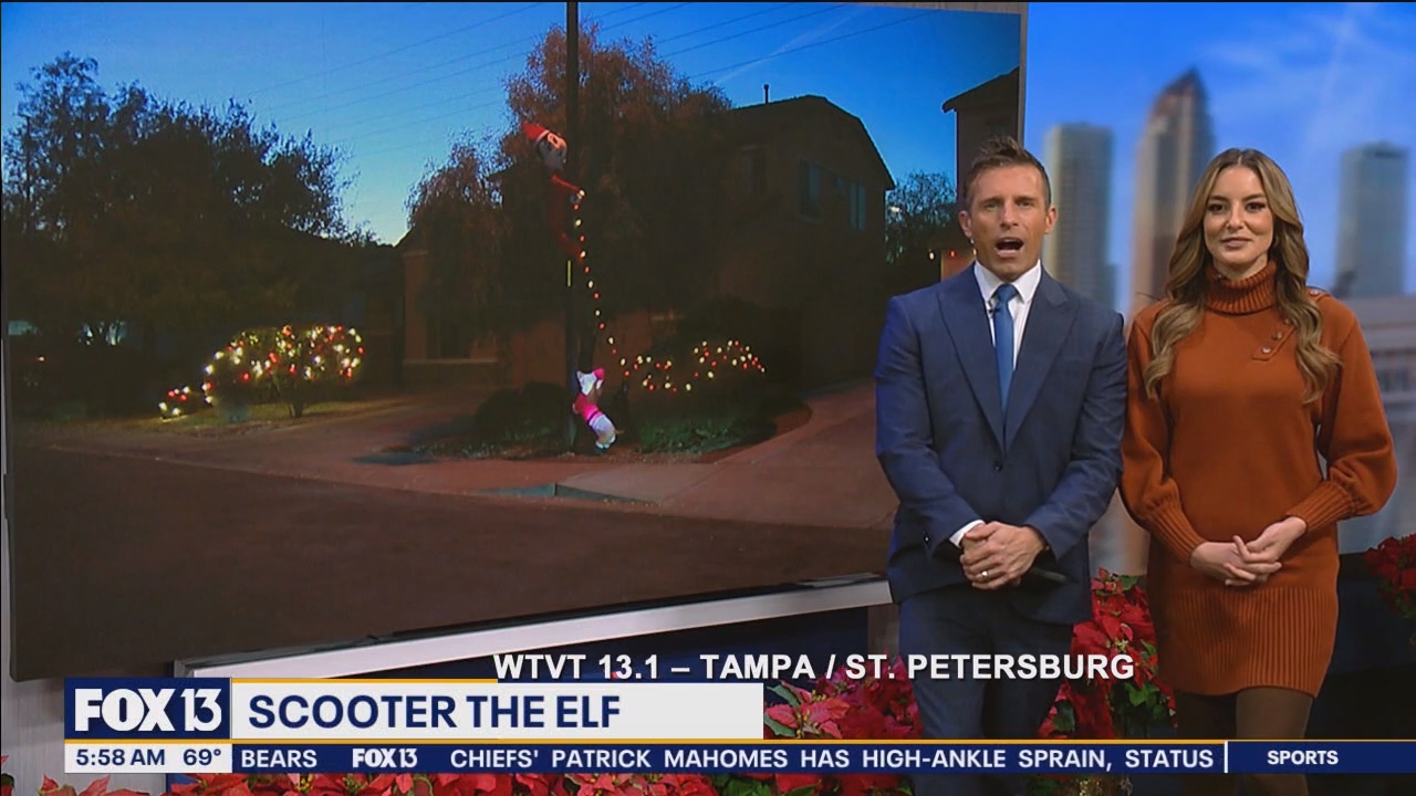 FOX13s Good Day Tampa Bay 530A_20241217_10301100.ts_snapshot_29.39.294