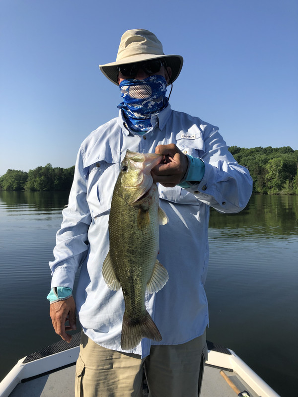 288B0EB8-895C-4DD0-8390-8DFB788556E8