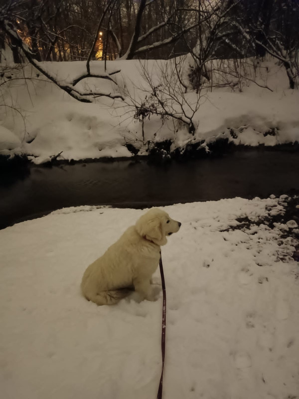 3A7B74D4-6111-44E6-86B2-92BB77752AF6