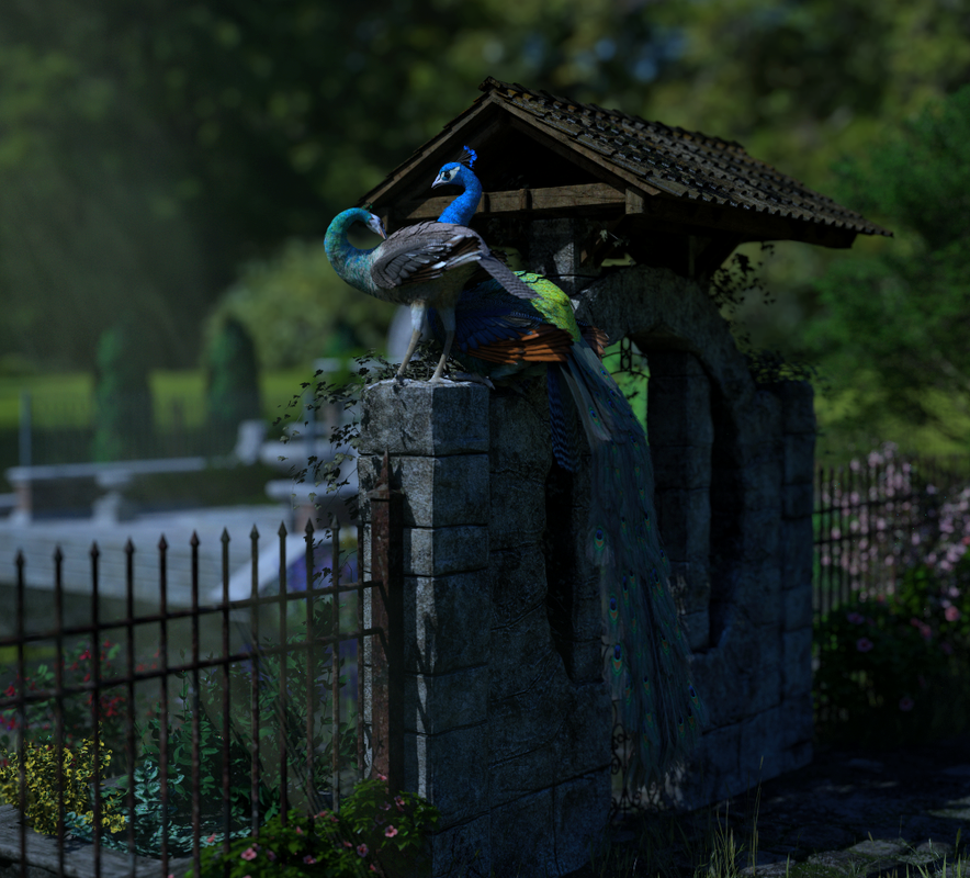 Peacocks at Rest