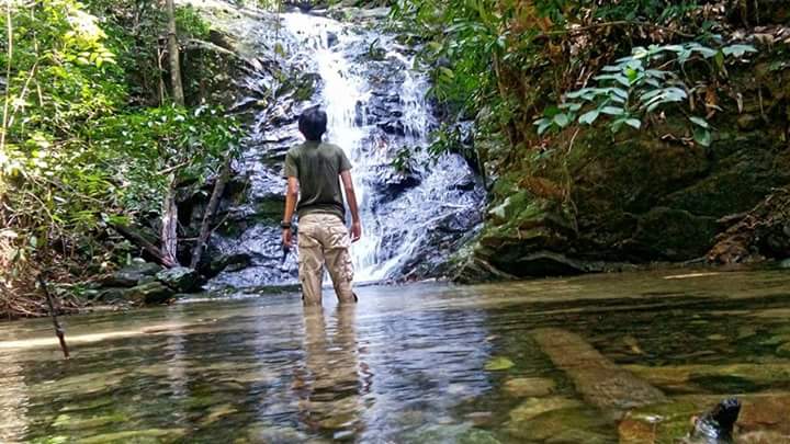 Segari, Hutan Bukit Pantai Yang Terakhir Di Malaysia