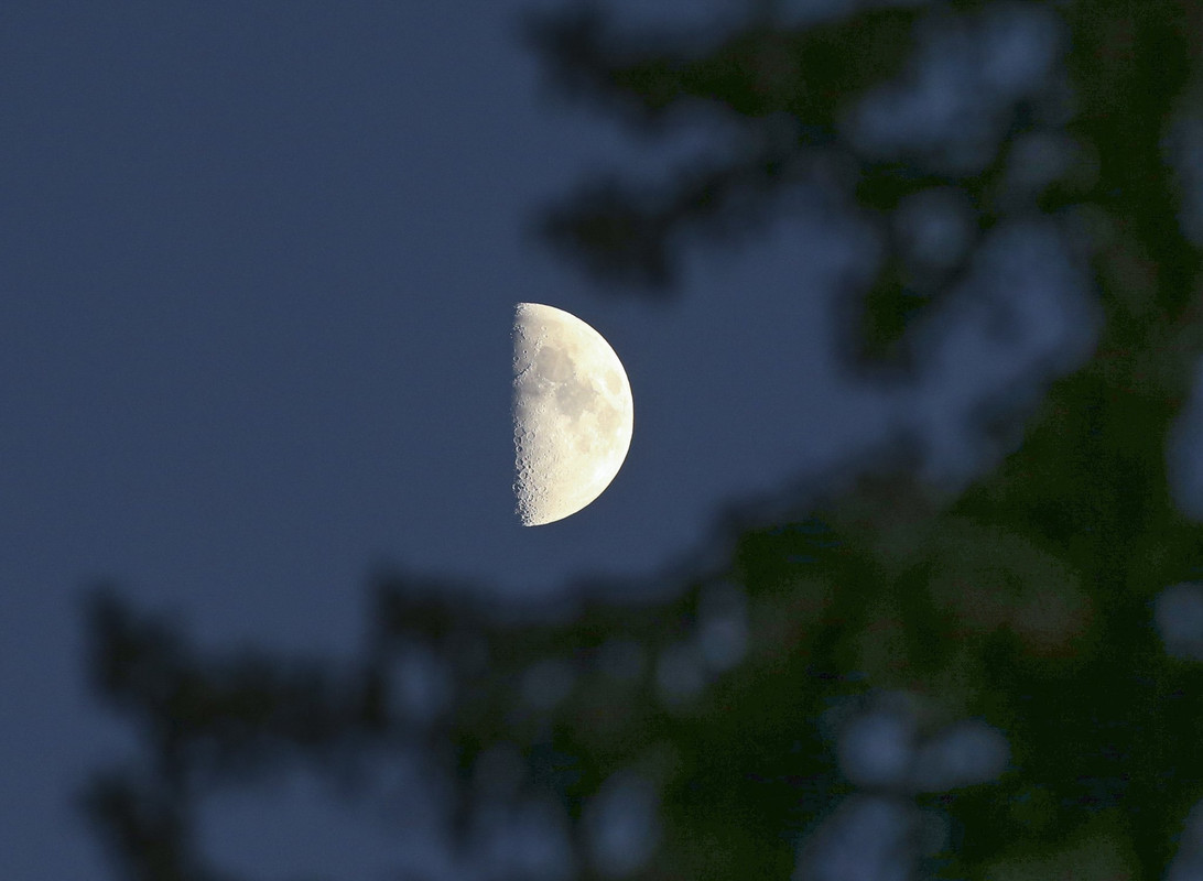 E68AA197-094A-4076-A147-AEED231AC898