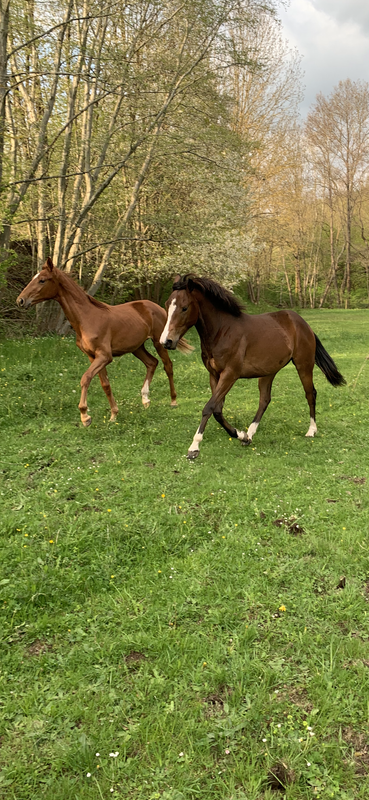 C3650D7A-0BEE-434B-904C-5F64FA7642D2