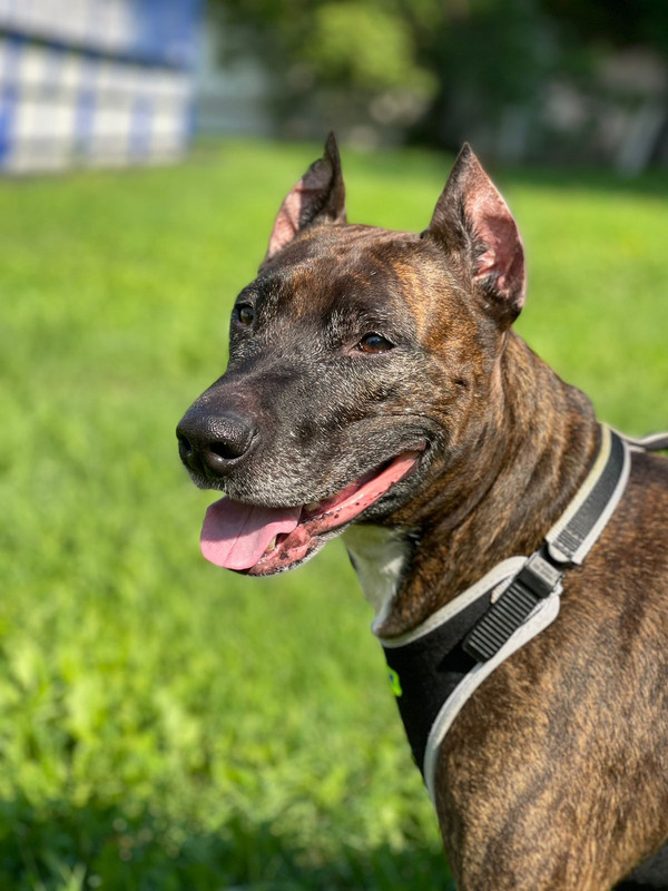 B5FFAD61-1F7B-4646-BC3A-65151E292BB2