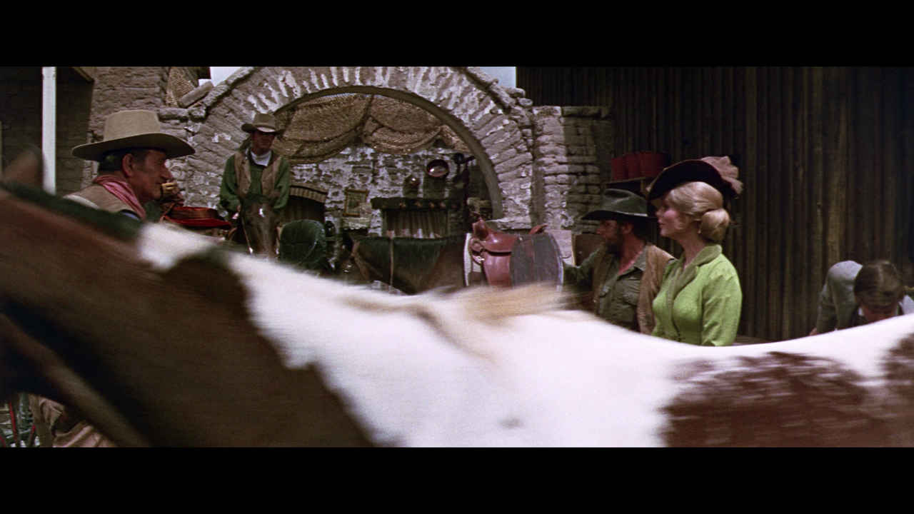 vlcsnap-2023-11-30-18h49m33s971