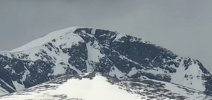 Profile Banner