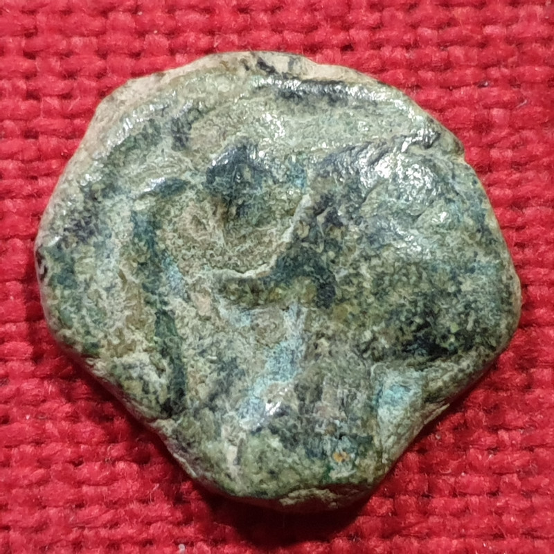 Semis de Laelia. Siglo II a.C. 20220124-130657