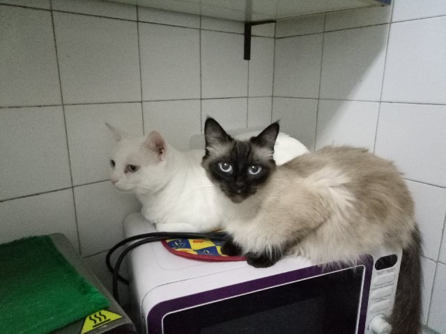 [Imagen: P00409-144533.jpg]
