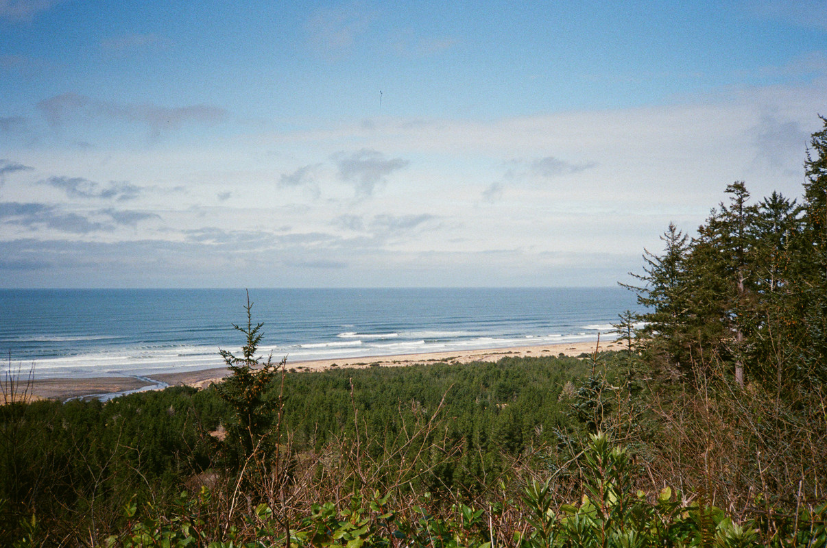 Description of the image