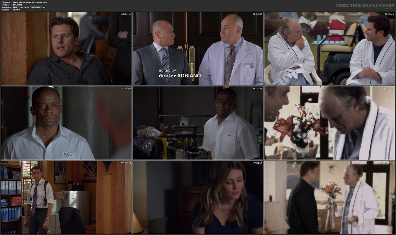 Psych S06E06 Shawn, Interrupted.mkv