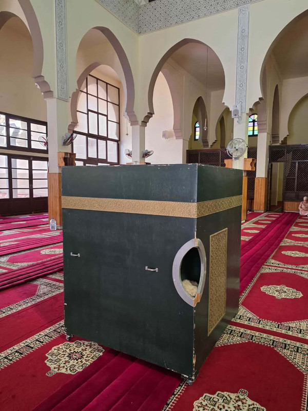 659033059-972977471924731-3035972127495200620-n