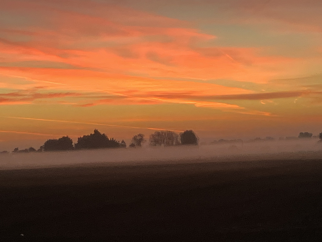 1E571CED-CCD7-458D-908A-2475D9422561