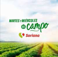 Chedraui: MartiMiércoles de Chedraui 21 y 22 Marzo: Pepino ó Zanahoria $9.50 kg • Melón $12.90 kg 
